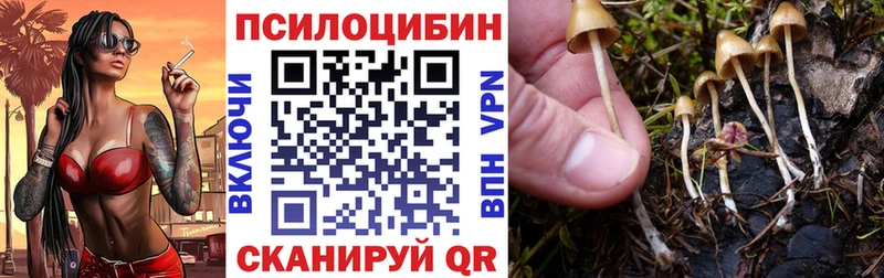 Псилоцибиновые грибы Psilocybine cubensis  где купить наркоту  Миасс 